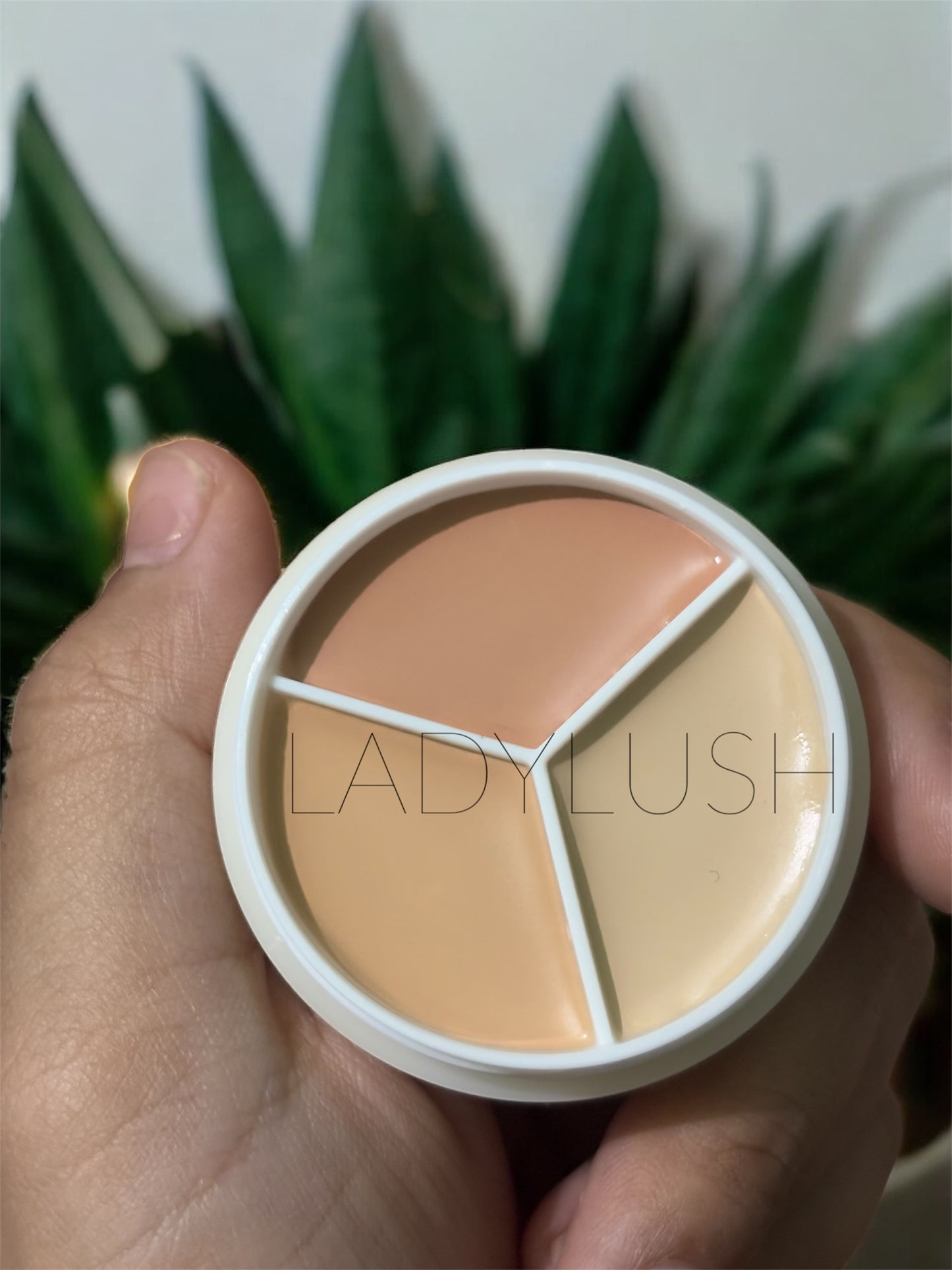 Sweet Mint Tri colour Concealer