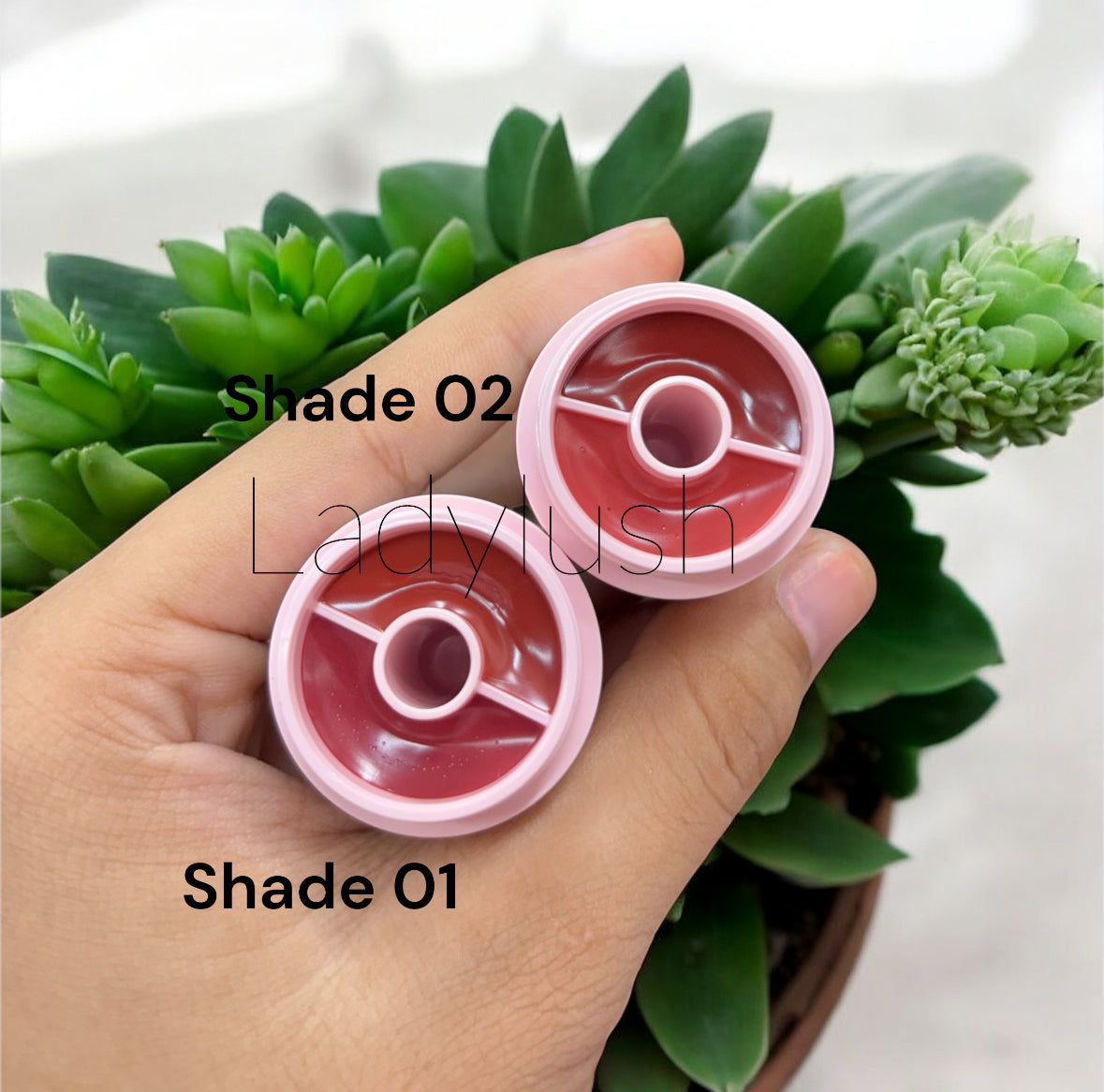 Gegebear Dual Colour Lipglaze