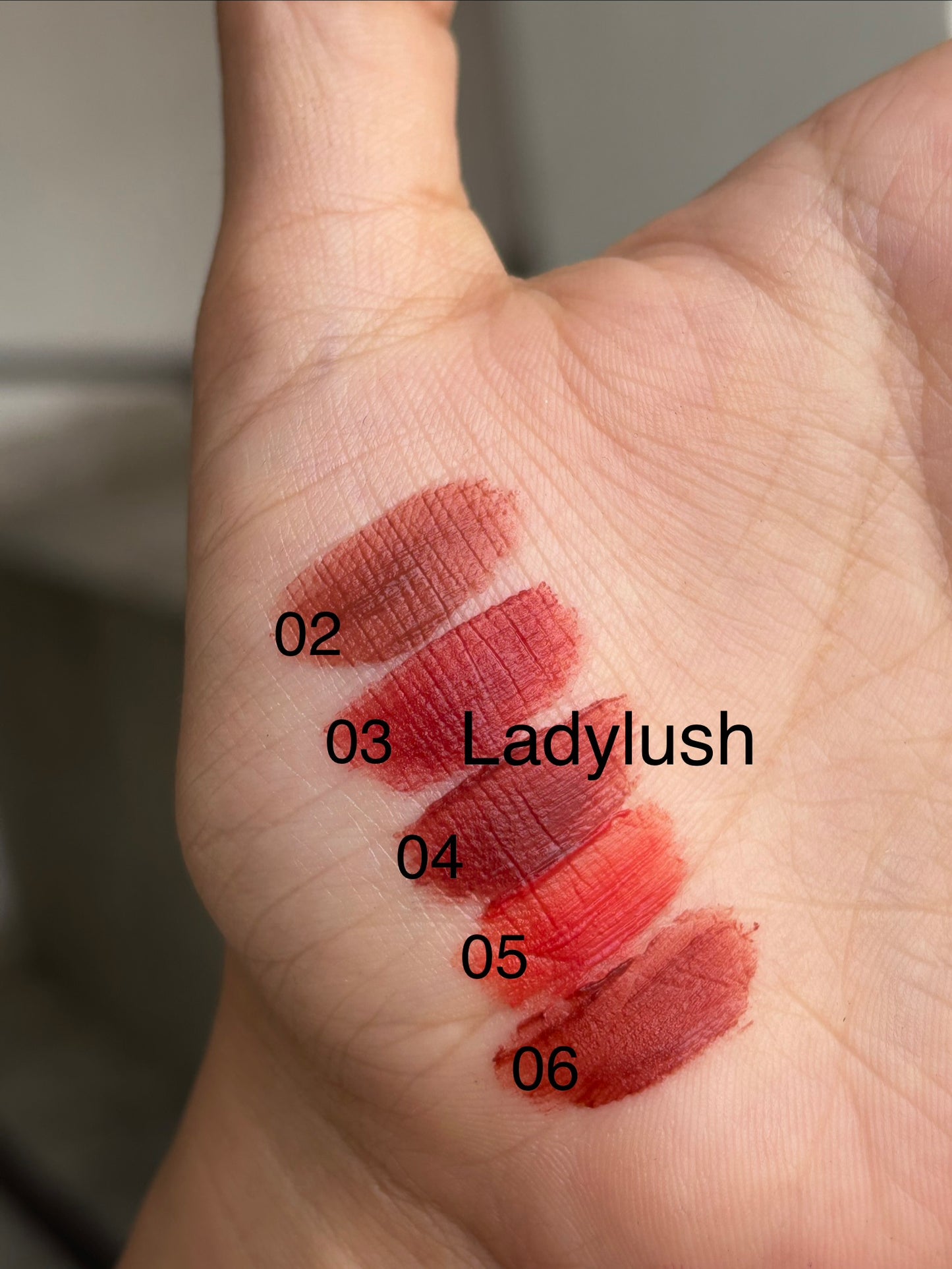 Gegebear Velvet Matte Lipstick