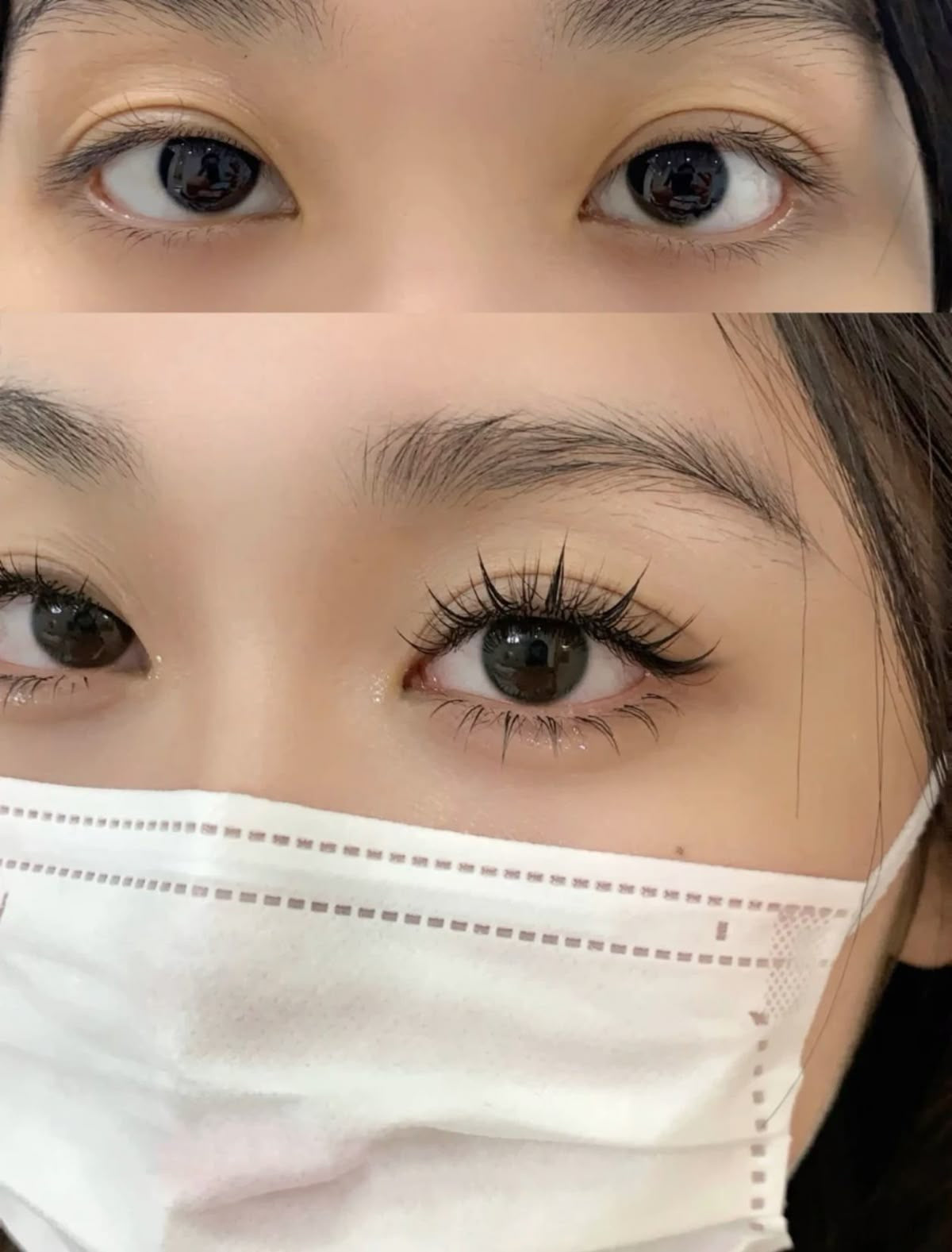 Manga anime bunny self adhesive glue free lash book