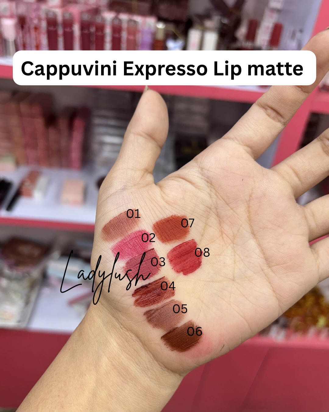 Cappuvini Matte Lisptick