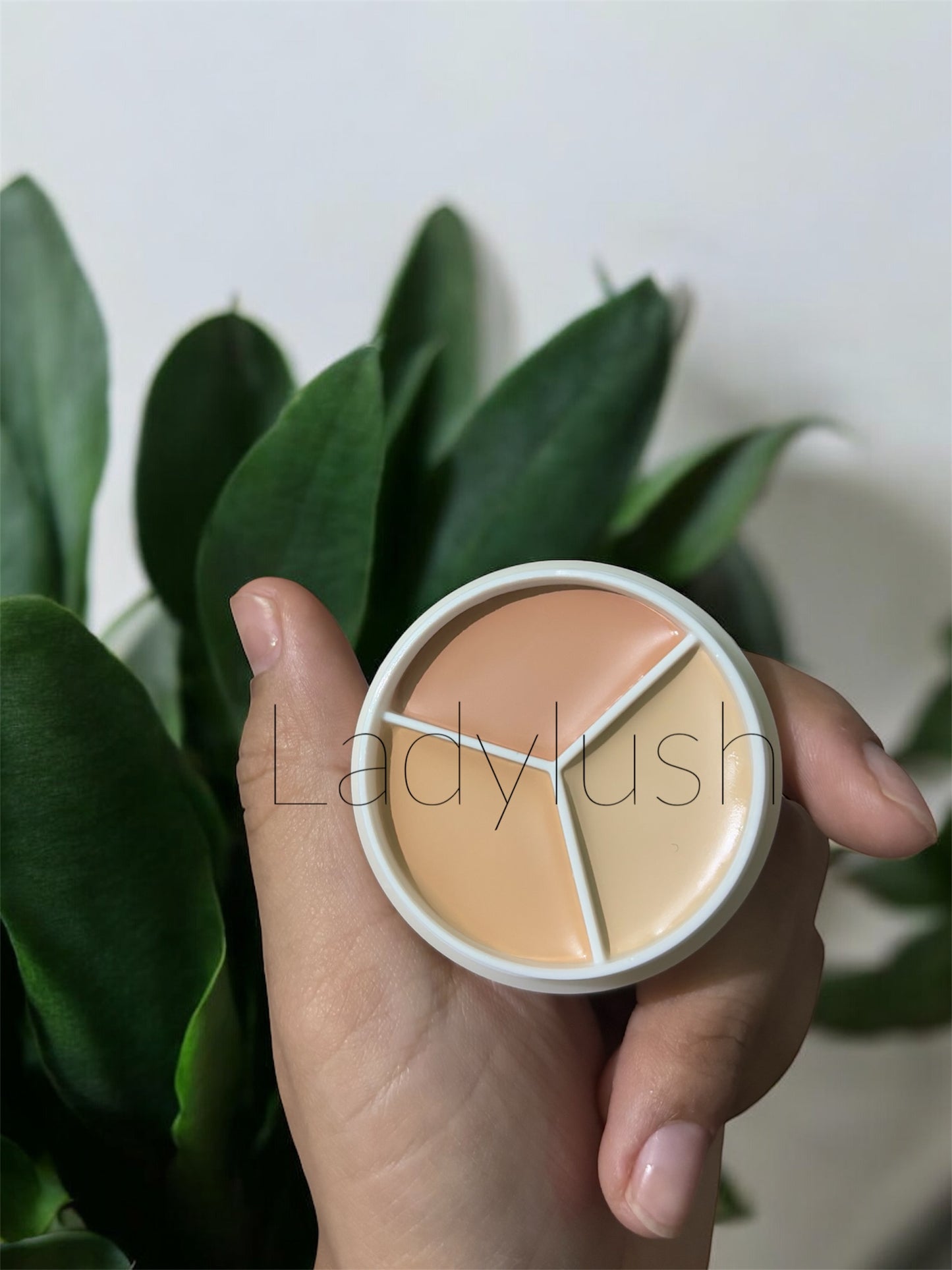 Sweet Mint Tri colour Concealer