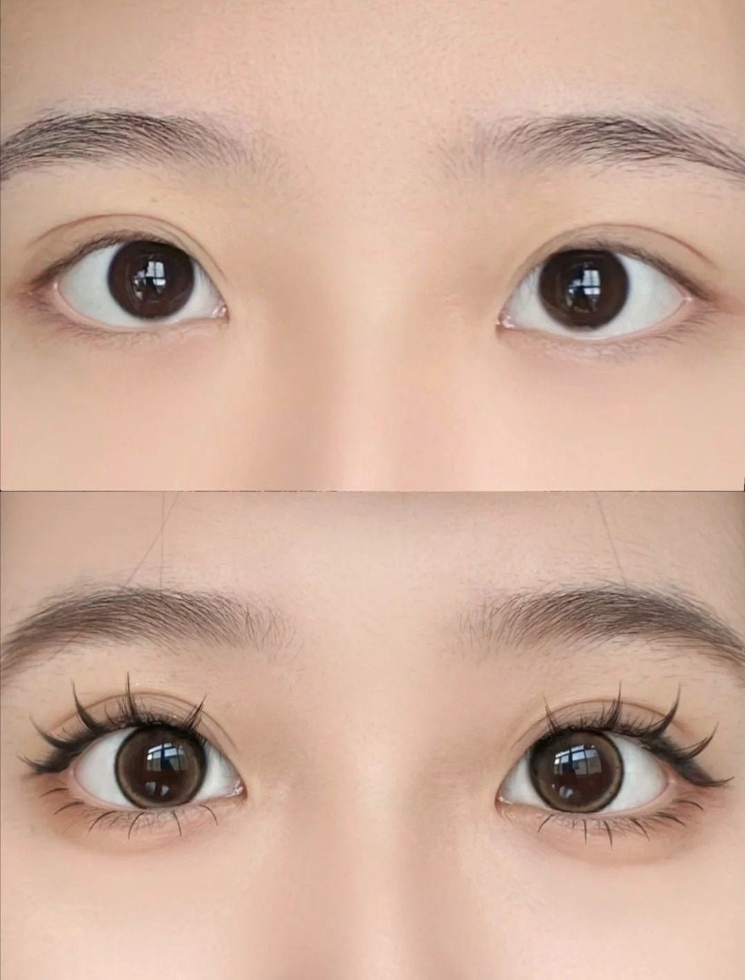 Manga anime bunny self adhesive glue free lash book