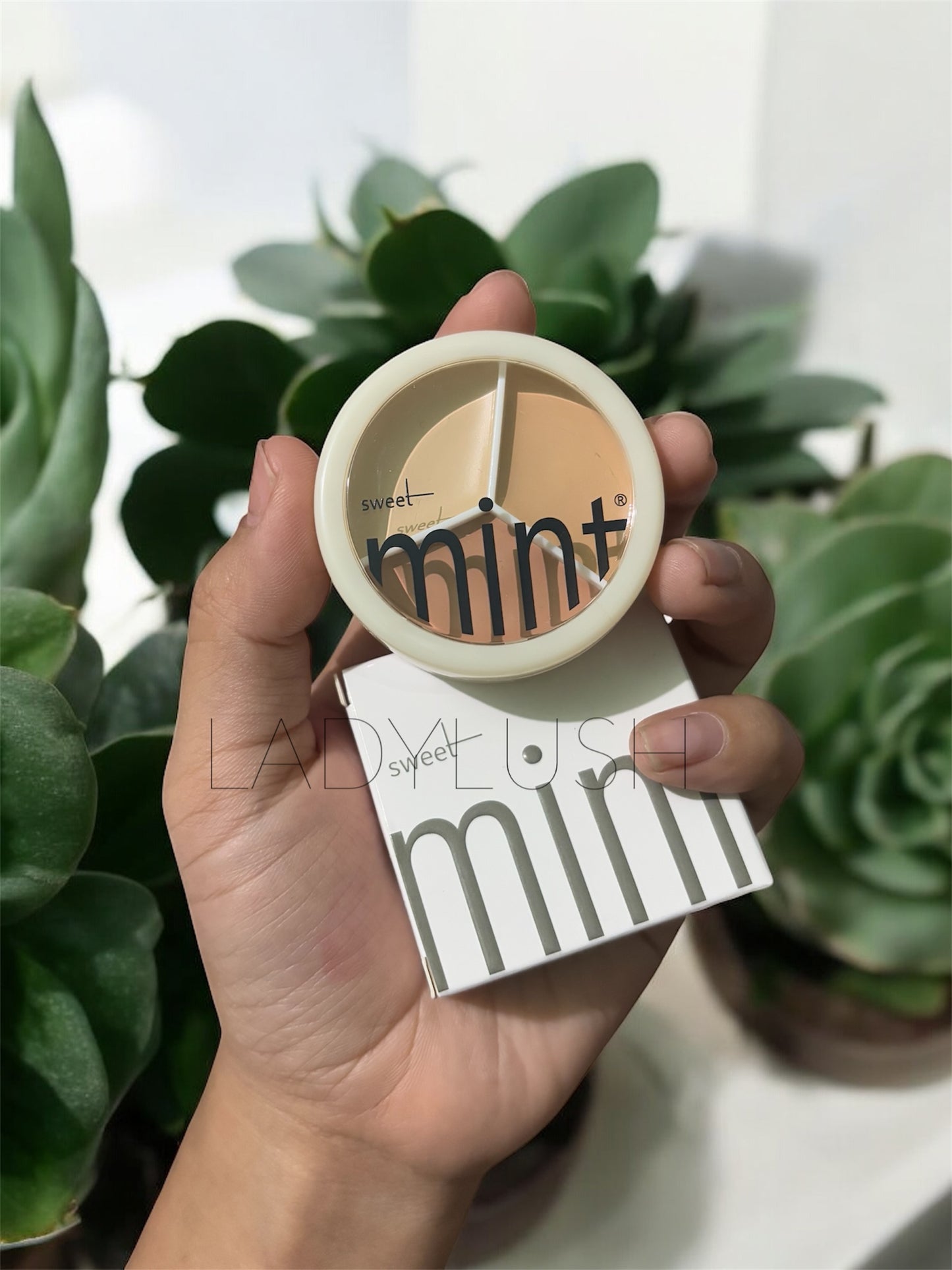 Sweet Mint Tri colour Concealer